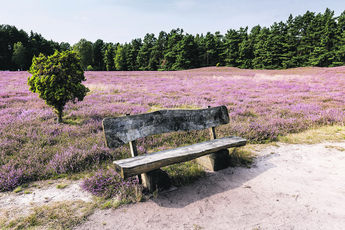 Klein Buenstorfer Heide in Bad Bevensen c BBM Markus Tiemann 10 