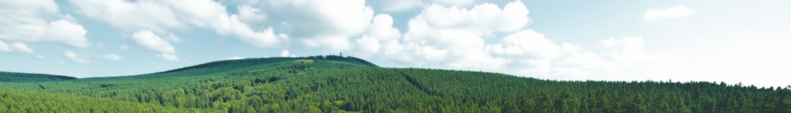 03 biedermann header harz v2